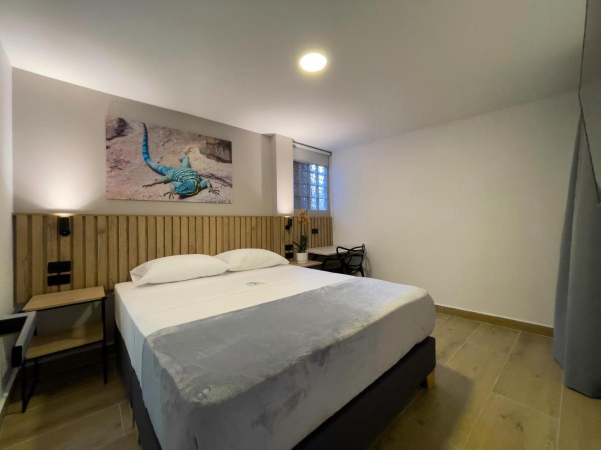 Vita Hotel Boutique 메딜린 외부 사진