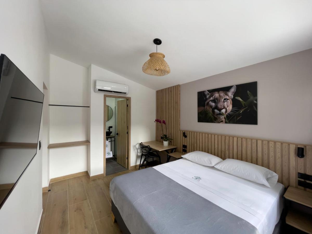Vita Hotel Boutique 메딜린 외부 사진