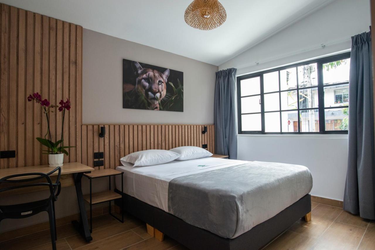 Vita Hotel Boutique 메딜린 외부 사진