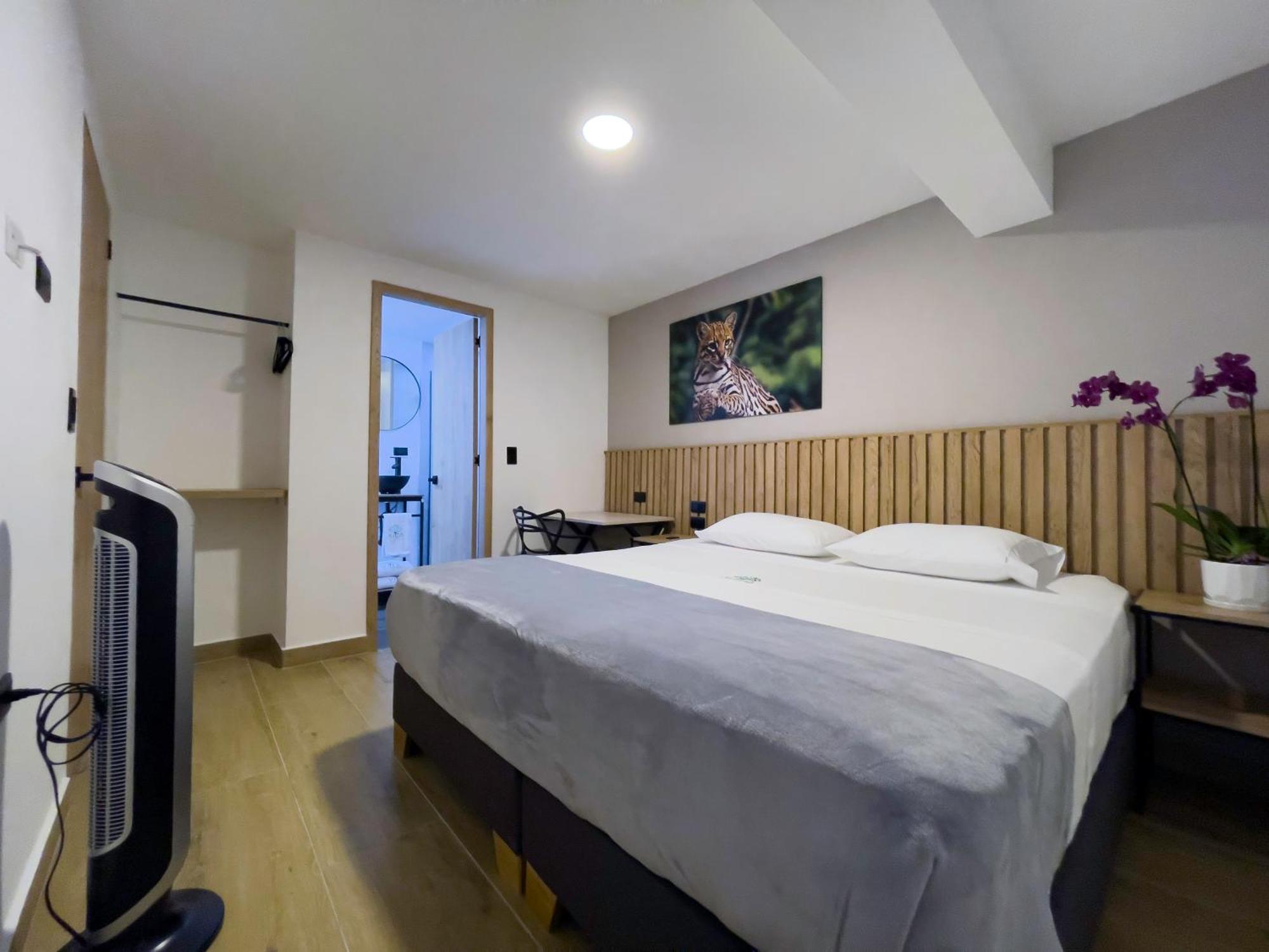Vita Hotel Boutique 메딜린 외부 사진
